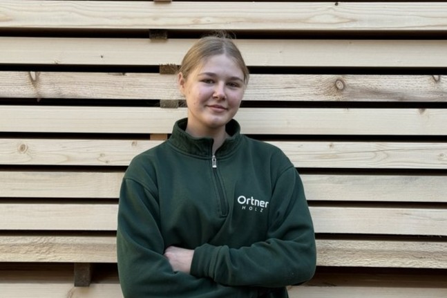 Lehrling Holztechnik